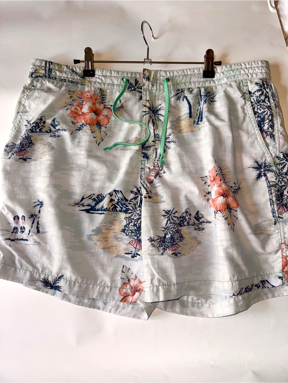 Tori Richard Swim Trunks Inter-Island Lined Shorts sz 36